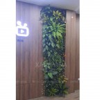 Thi công tường cây giả tại 30 Văn khê cho nội thất Smart